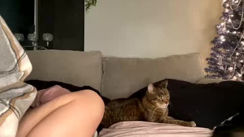 GoddessMayvn online show from December 29, 12:55 pm