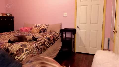 Goddess Noxturna - Next Stream on 1220  7pm ct online show from December 21, 1:04 am