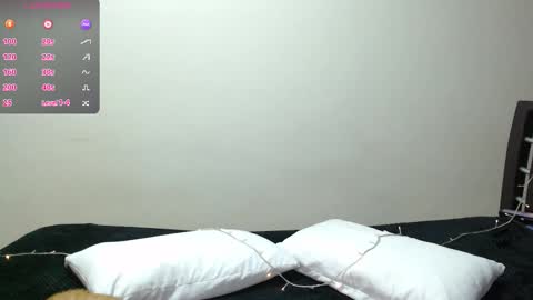 goldencandycotton online show from November 21, 6:59 am