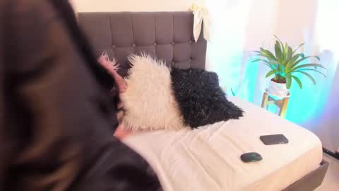 Samy Velvet    dayatorres 23 Followme online show from February 26, 7:08 pm