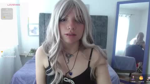 Hadde online show from November 24, 1:46 pm