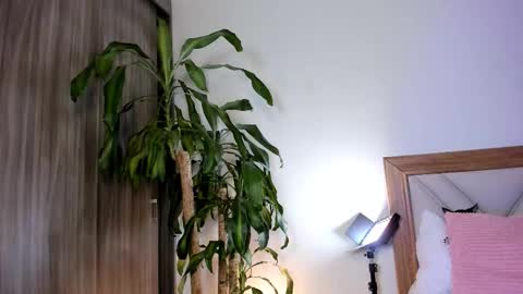 Hailey online show from February 4, 11:52 pm