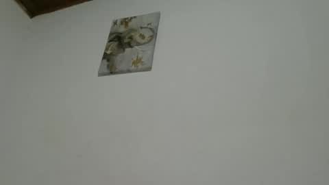 hanny online show from February 18, 1:16 am