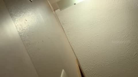 meatwad online show from December 9, 6:14 pm