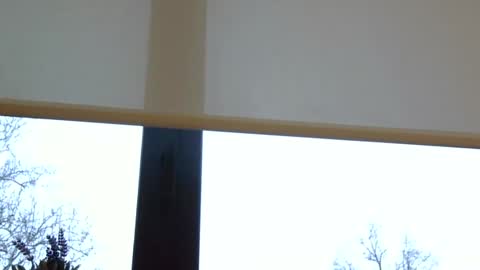 heatwavee online show from December 29, 2:00 pm