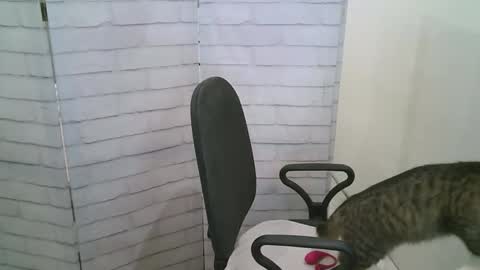 Helen online show from December 14, 4:18 am