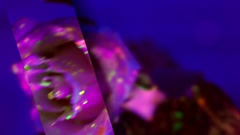 Alina online show from February 28, 5:12 pm