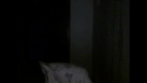 honey_yuzu online show from October 20, 4:43 pm