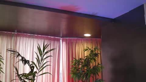 Anais online show from February 15, 10:03 am