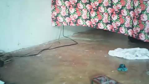 hotflowerclit online show from October 20, 3:31 am