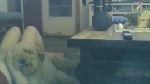 hotspot829 online show from April 14, 12:43 am