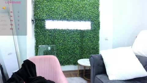 illegal_lorry online show from January 9, 7:42 am