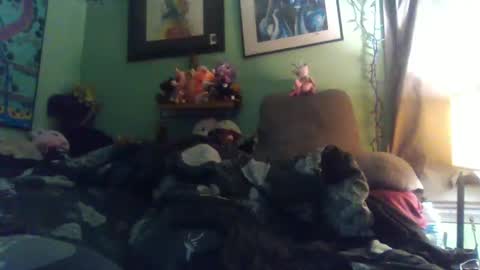 indigo_scorpio online show from November 12, 6:44 am