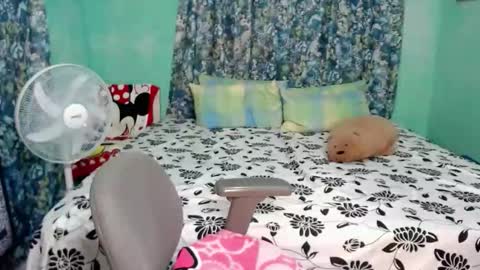 inocent_joy online show from February 20, 11:56 am