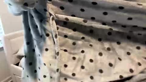 isabellenoela online show from January 12, 4:18 pm