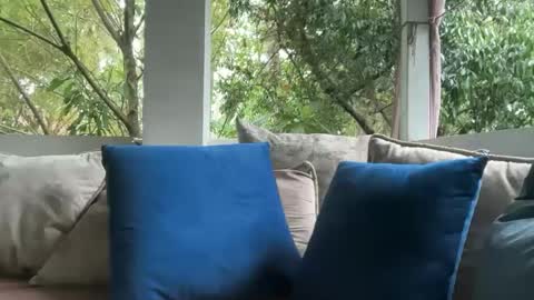 Snapshot of ivysagex chatting on September 27, 9:16 am ivysagex online show from September 27, 9:16 am