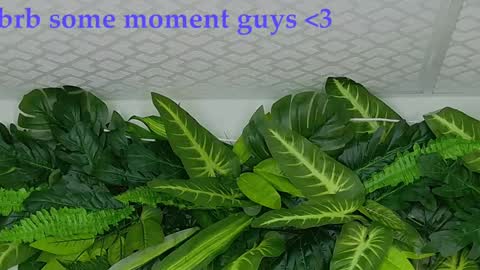 Snapshot of juanilittle chatting on October 16, 7:49 pm juani online show from October 16, 7:49 pm