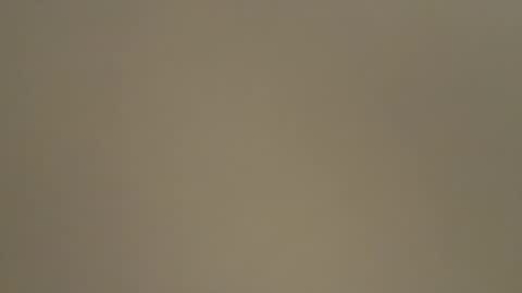          Anime Goth Kaila Kitty Kandy          online show from January 30, 6:21 pm