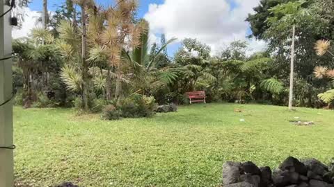 Kailee Smile online show from February 18, 11:37 pm