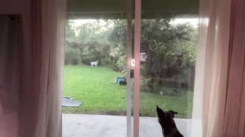 Kailee Smile online show from January 8, 3:51 am