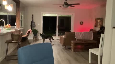 Kailee Smile online show from October 4, 5:13 am