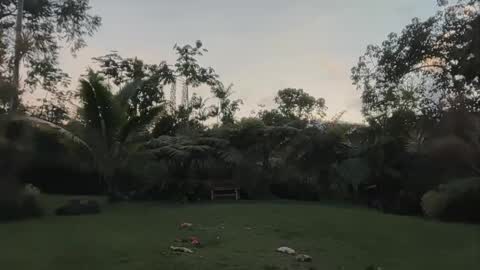 Kailee Smile online show from April 24, 4:15 am