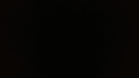 Kamelia  6 am-10 am  4 pm-6 pm online show from February 20, 11:20 am