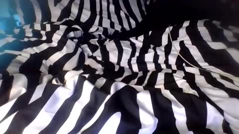 kayxo_ online show from November 24, 12:12 am