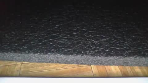 ana online show from November 20, 12:17 pm