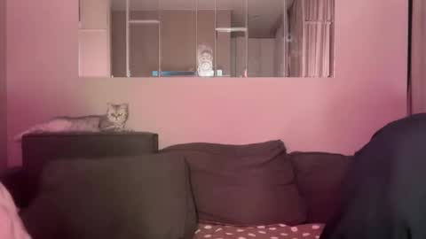 Kristy online show from February 7, 10:24 pm