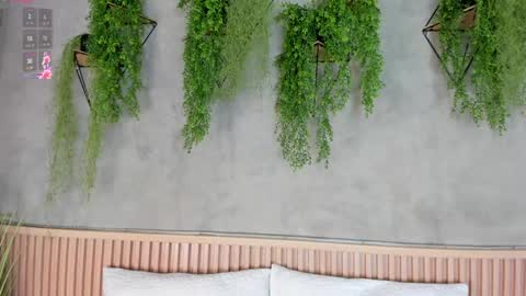 lana_lann online show from January 27, 11:43 am