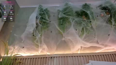 lana_lann online show from October 10, 2:44 pm