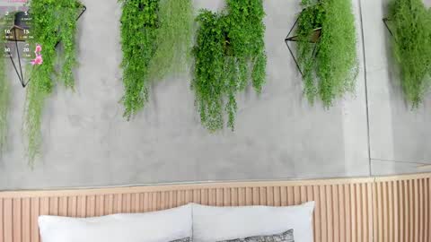 lana_lann online show from February 10, 11:46 am