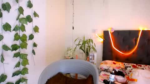 LAURA online show from May 21, 5:55 pm