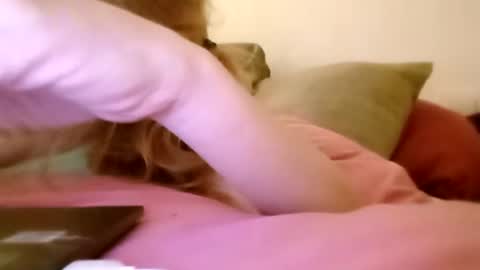 lauriehotxxx online show from October 19, 6:32 pm