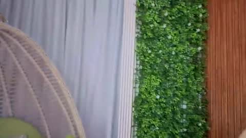 Leidy online show from February 5, 11:35 am