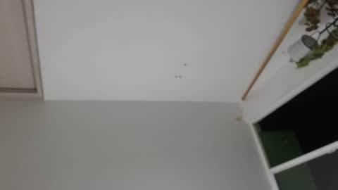 liiz5 online show from December 31, 1:26 am