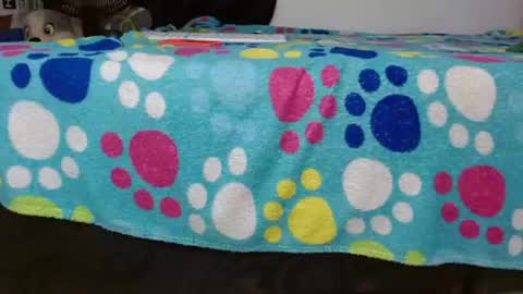 Lili online show from July 21, 10:43 pm
