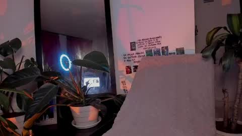 Emily online show from June 3, 12:01 am