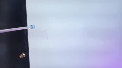 Lizz  online show from February 6, 11:53 am