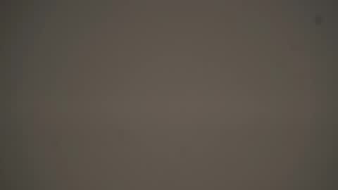 Elza online show from January 8, 7:18 pm