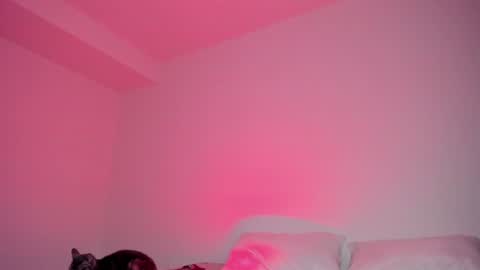 Lola online show from June 17, 12:56 am