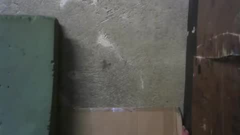 lovemedoll online show from February 14, 8:10 am