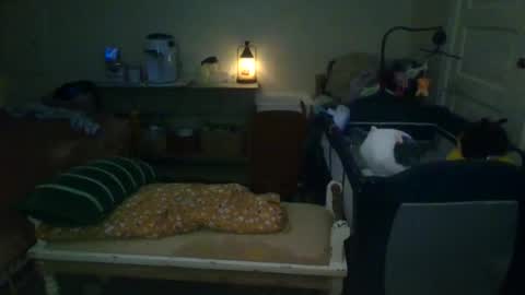 lovetubes101 online show from October 2, 1:43 am