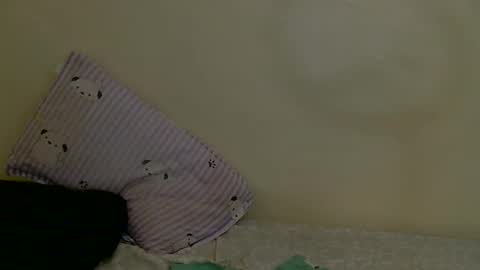 Snapshot of luna_rogue chatting on September 19, 12:59 pm Luna online show from September 19, 12:59 pm