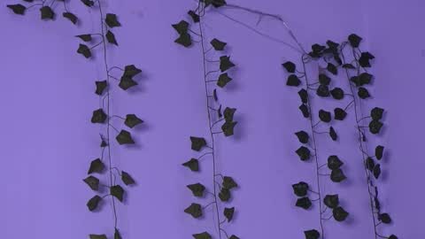 Lyly   online show from October 27, 8:54 am