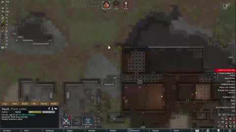 M1A  Dddy online show from February 15, 11:39 am