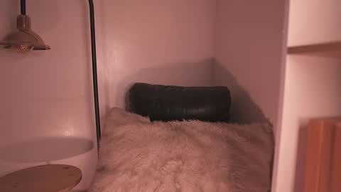 Noah Askew online show from December 15, 8:36 pm