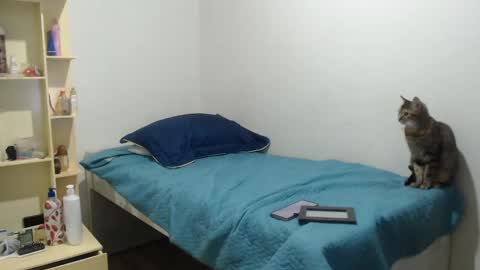 MAKENNAA online show from March 12, 9:12 am