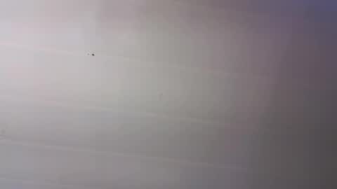 malen_fitnessmilf online show from March 23, 11:38 am